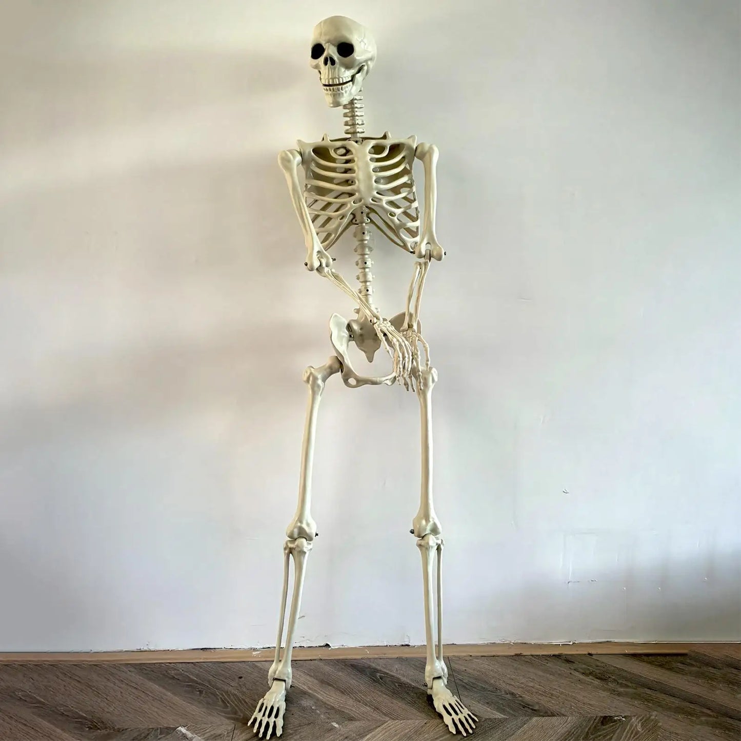 Esqueleto de Halloween, esqueleto humano de tamaño natural con articulaciones posables, decoración de jardín resistente a la intemperie, accesorios de fotografía espeluznantes para vacaciones