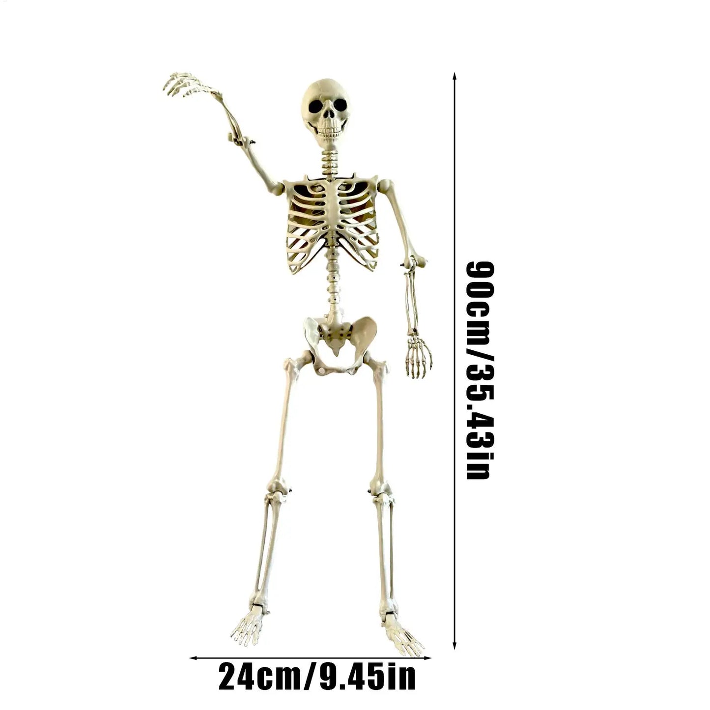 Esqueleto de Halloween, esqueleto humano de tamaño natural con articulaciones posables, decoración de jardín resistente a la intemperie, accesorios de fotografía espeluznantes para vacaciones