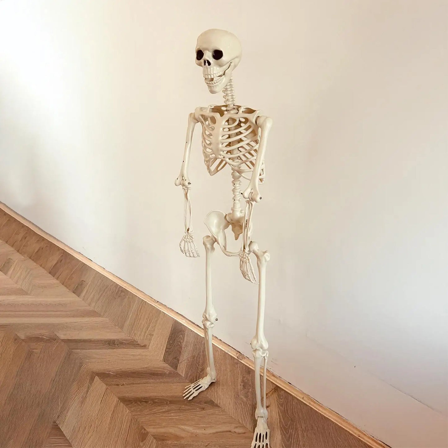 Esqueleto de Halloween, esqueleto humano de tamaño natural con articulaciones posables, decoración de jardín resistente a la intemperie, accesorios de fotografía espeluznantes para vacaciones