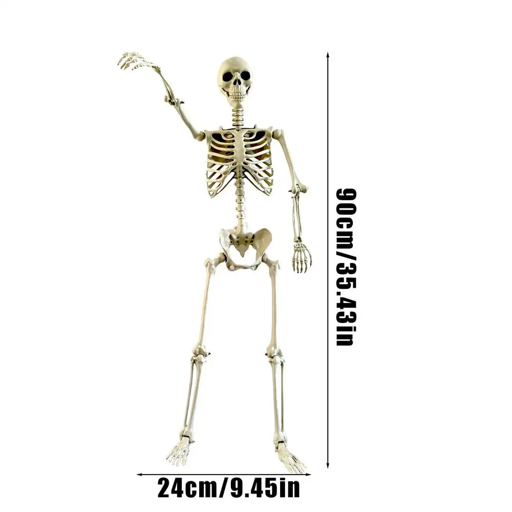 Esqueleto de Halloween, esqueleto humano de tamaño natural con articulaciones posables, decoración de jardín resistente a la intemperie, accesorios de fotografía espeluznantes para vacaciones
