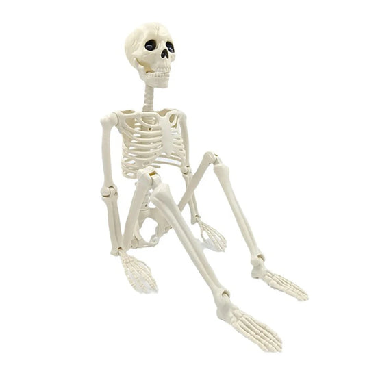 Esqueleto de decoraciones de Halloween, esqueleto de forma humana portátil, decoración de terror de hueso falso de Halloween